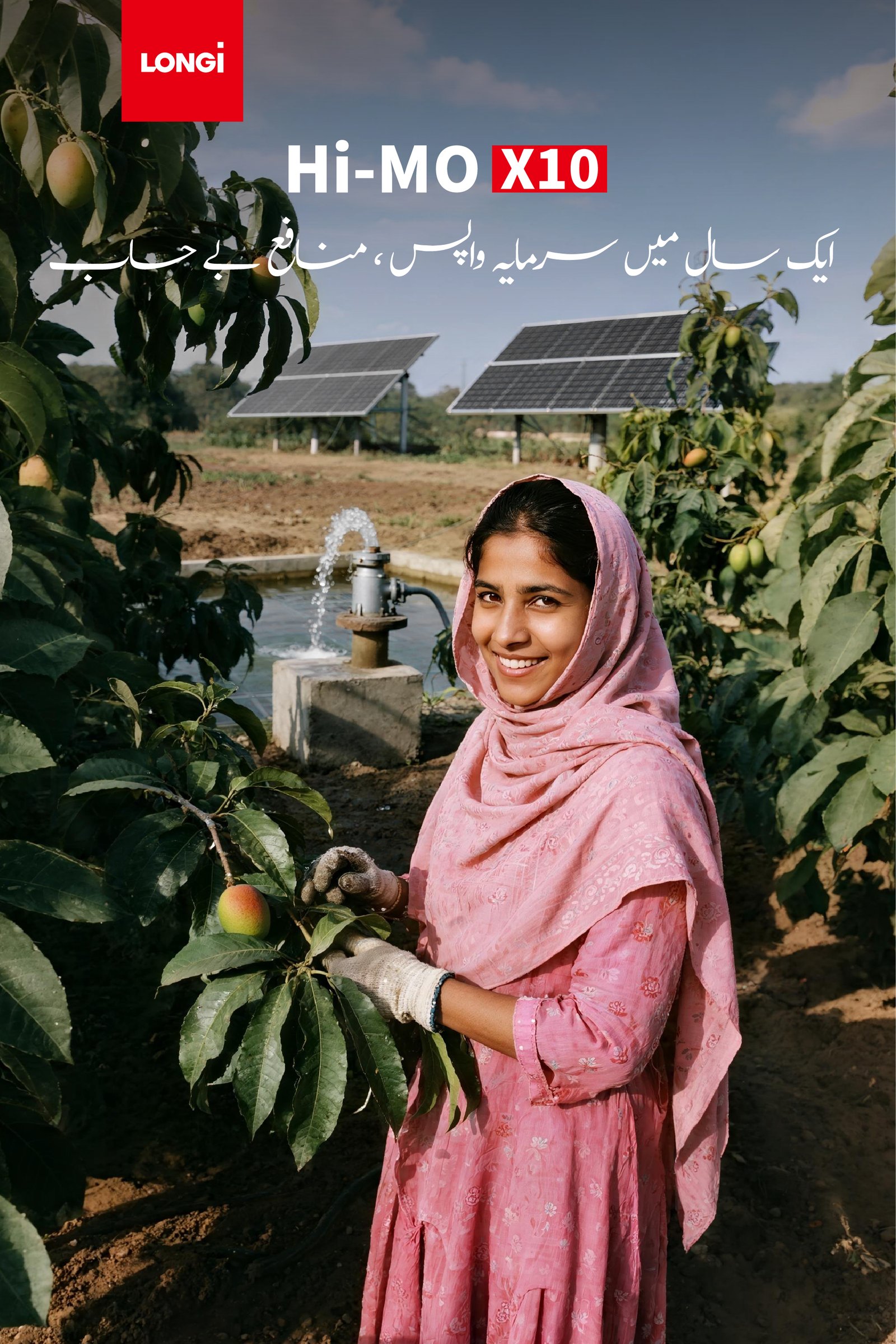 LONGi سولر — آم کے باغ میں پانی