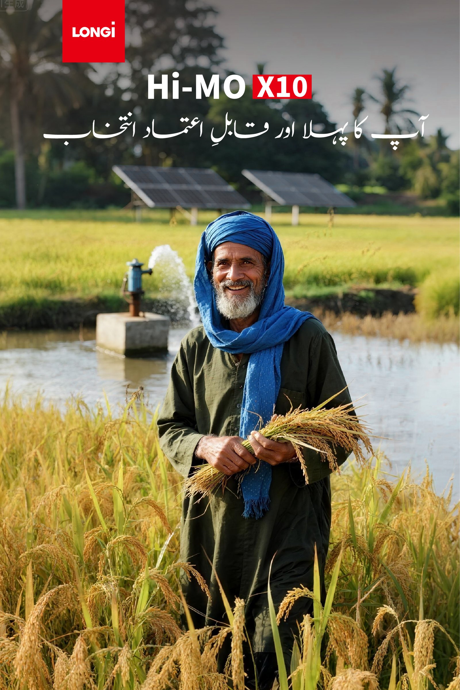 LONGi سولر — چاول کے کھیت میں ٹیوب ویل