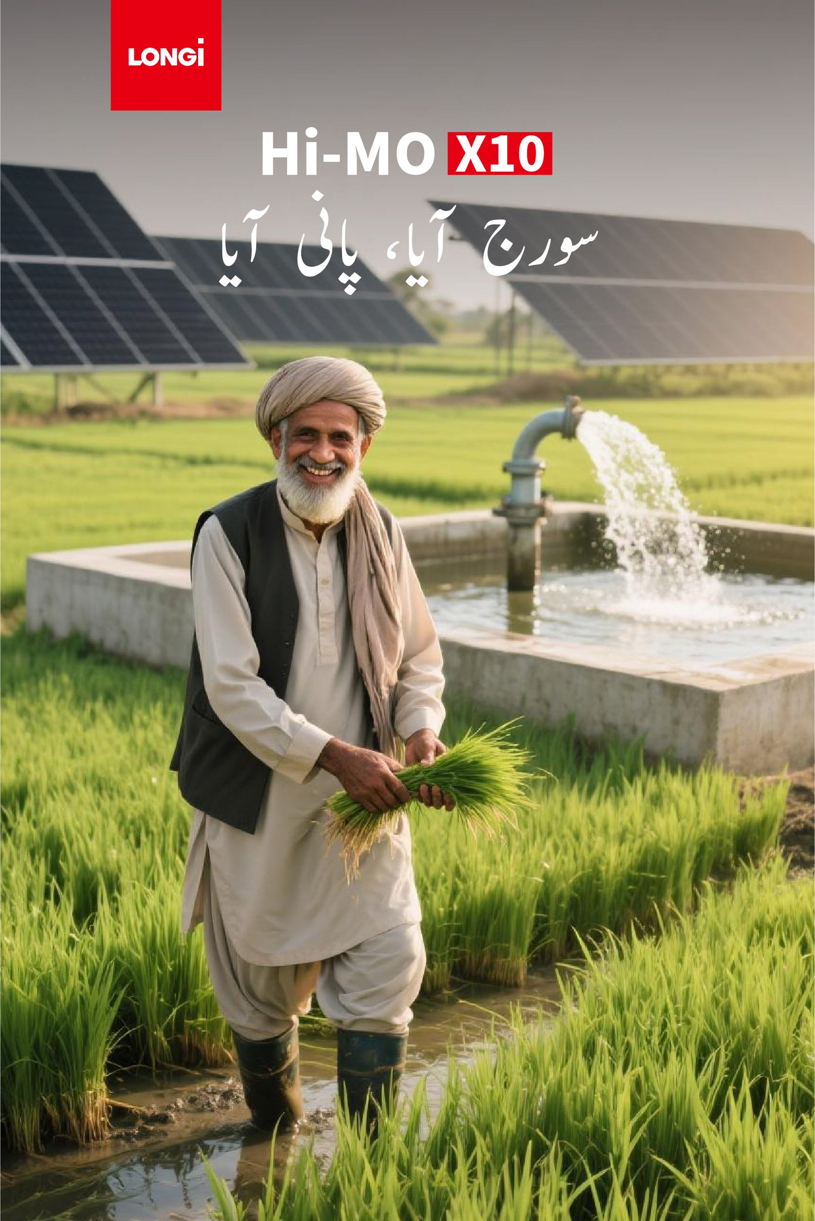 LONGi سولر ٹیوب ویل — دھان کی پنیری پنجاب