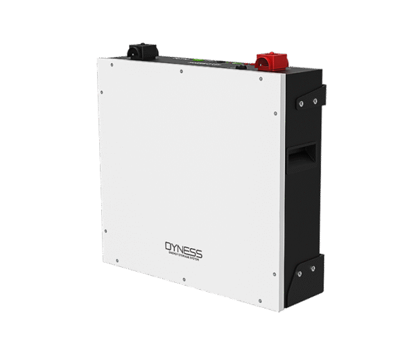 Dyness DL5.0C  LiFePO4 Lithium Battery